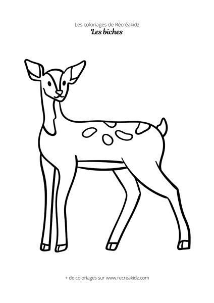 Coloriage biche facile