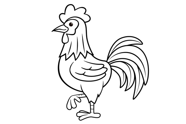 Coloriage de coq à imprimer