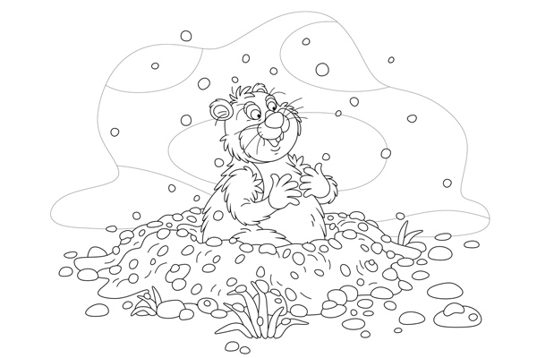 Coloriage marmotte à imprimer