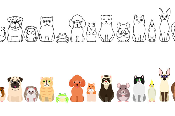 Coloriage animaux de compagnie à imprimer