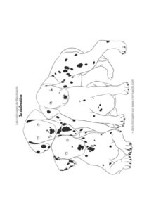 Coloriage bébés dalmatiens