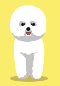 Coloriage bichon