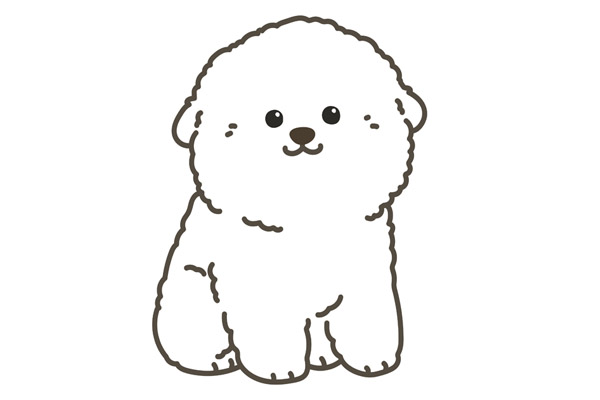 Coloriage bichon à imprimer