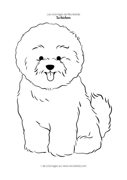 Coloriage bichon facile