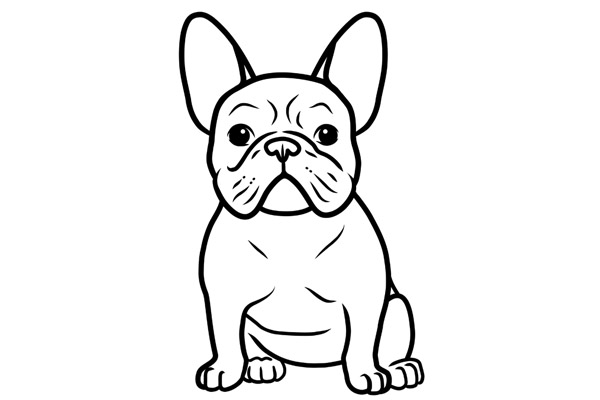 Coloriage bouledogue à imprimer