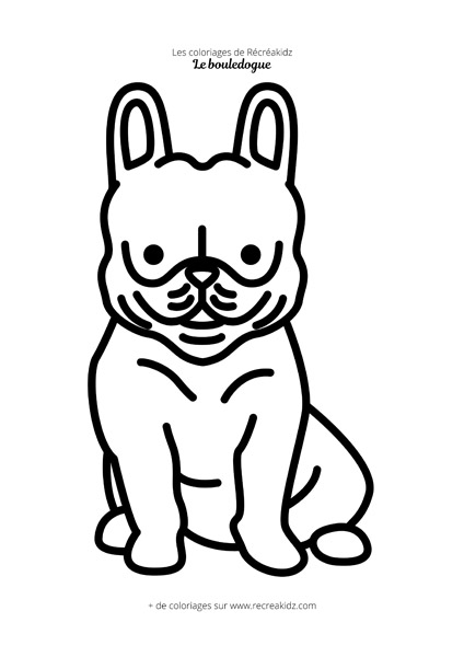 Coloriage bouledogue français