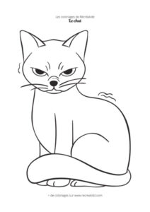 Coloriage chat pas content