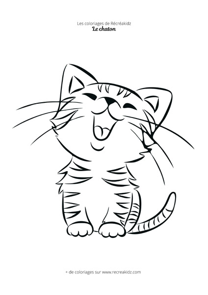 Coloriage chaton mignon