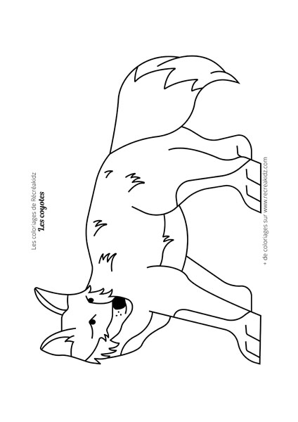 Coloriage coyote facile