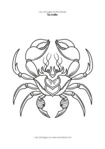 Coloriage crabe difficile