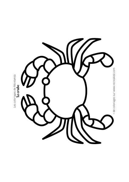 Coloriage crabe facile