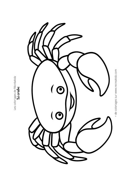 Coloriage crabe mignon