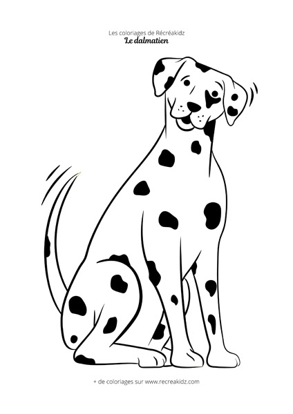 Coloriage dalmatien facile