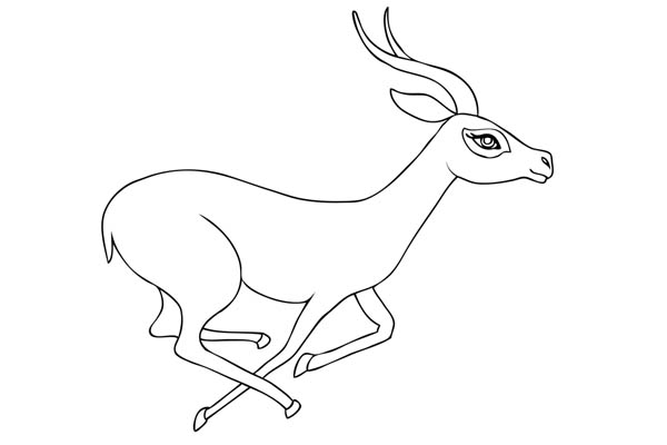 Coloriage gazelle à imprimer
