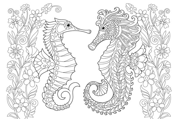 Coloriage hippocampe à imprimer