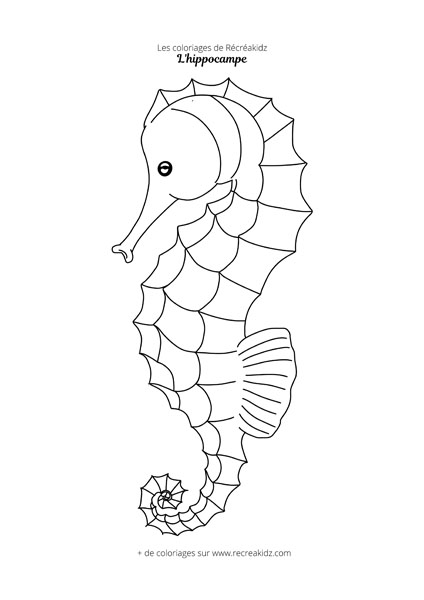 Coloriage hippocampe maternelle