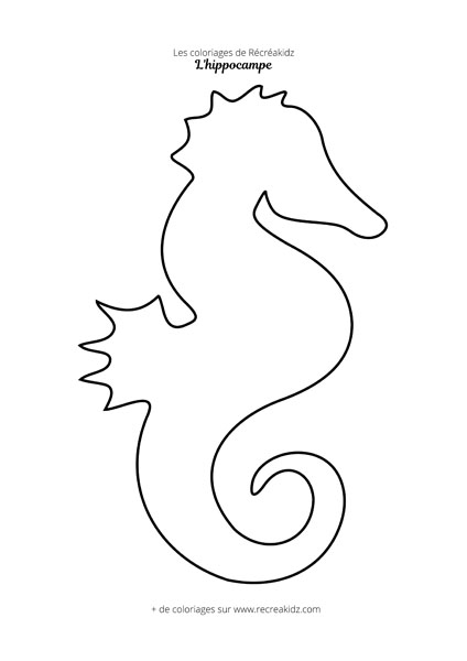 Coloriage hippocampe simple