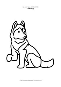 Coloriage husky maternelle