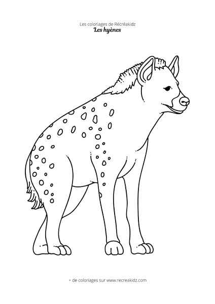 Coloriage hyène facile