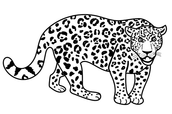 Coloriage jaguar à imprimer