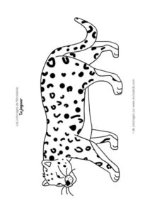 Coloriage jaguar facile