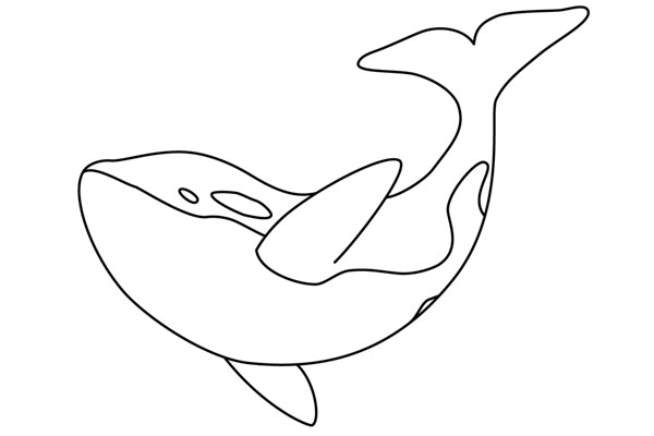 Coloriage orque à imprimer