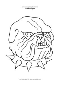 Coloriage tête de bouledogue anglais