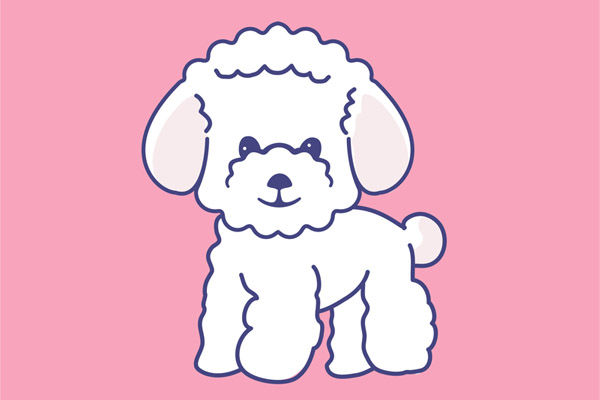 Dessin bichon à colorier