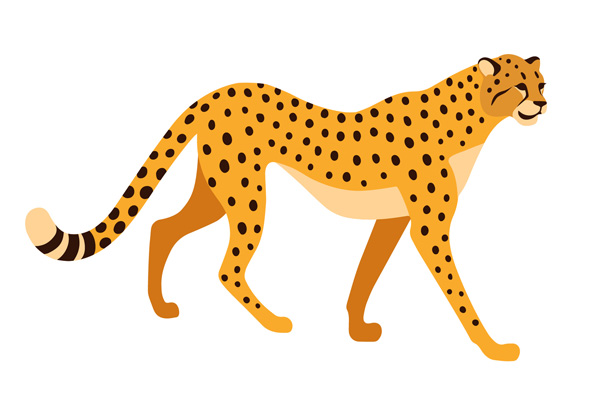 Dessin de guépard à colorier