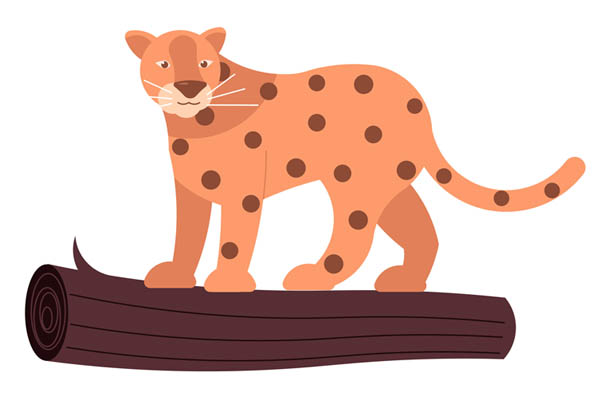 Dessin de léopard à colorier
