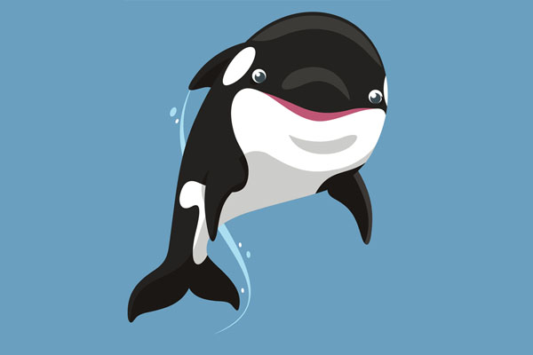 Dessin orque à colorier