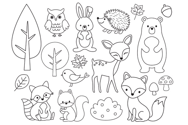Apprendre à dessiner animaux de la forêt