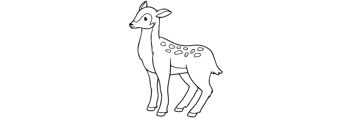 Apprendre à dessiner une biche étape par étape