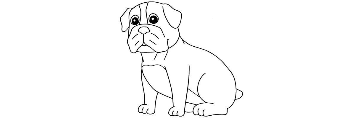 Apprendre à dessiner un bouledogue étape par étape