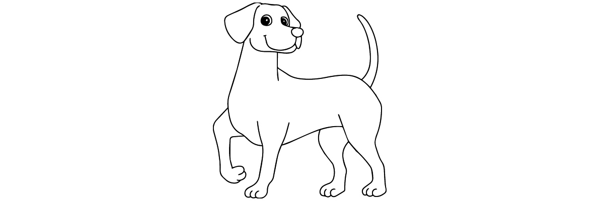 Apprendre à dessiner un chien étape par étape
