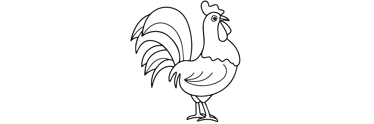 Apprendre à dessiner un coq étape par étape