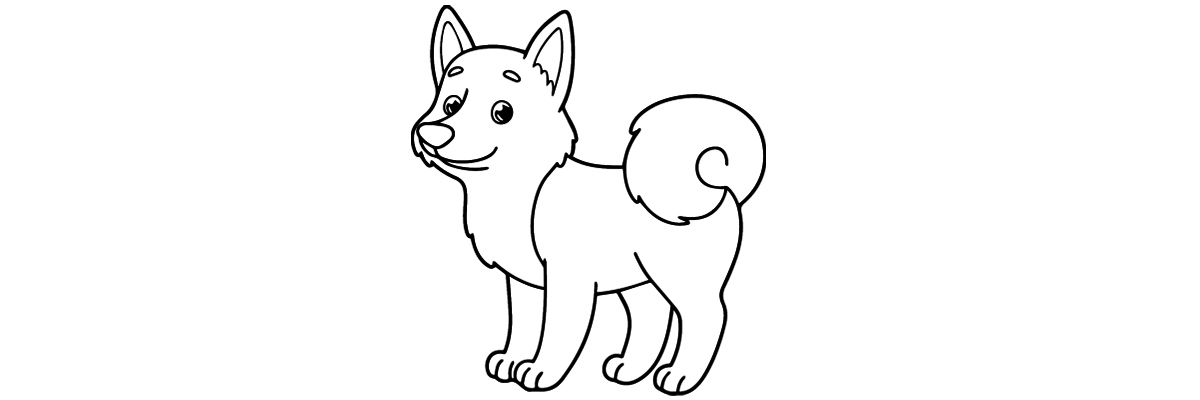 Apprendre à dessiner un husky étape par étape