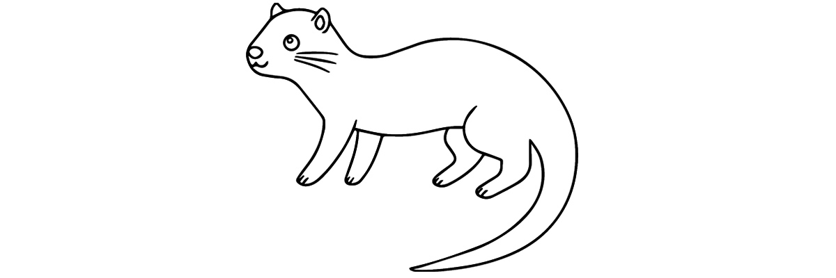 Apprendre à dessiner une loutre étape par étape