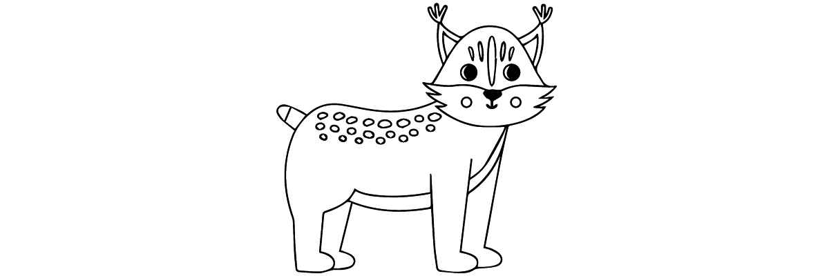 Apprendre à dessiner un lynx étape par étape