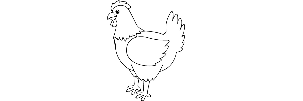 Apprendre à dessiner une poule étape par étape