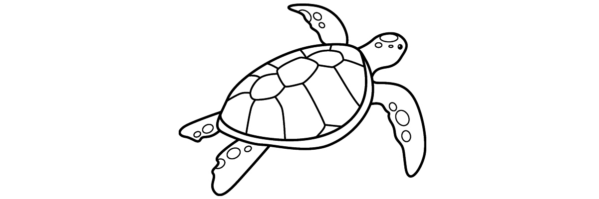 Apprendre à dessiner une tortue étape par étape