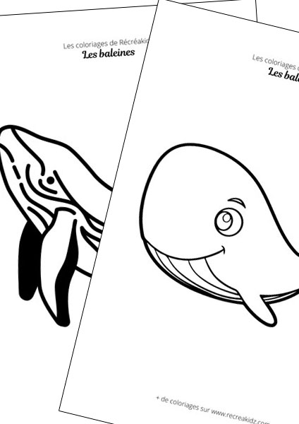 Baleine facile à dessiner maternelle