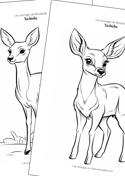 Biche facile à dessiner maternelle