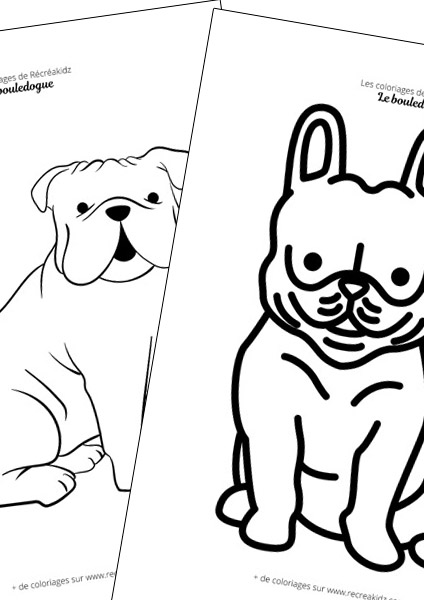 Bouledogue facile à dessiner maternelle