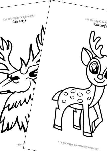 Cerf facile à dessiner maternelle