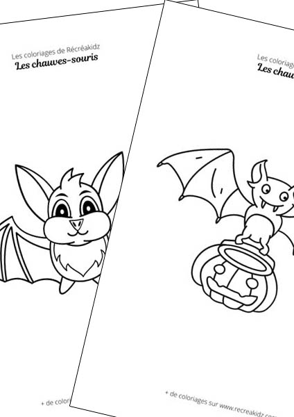 Chauve-souris facile à dessiner maternelle