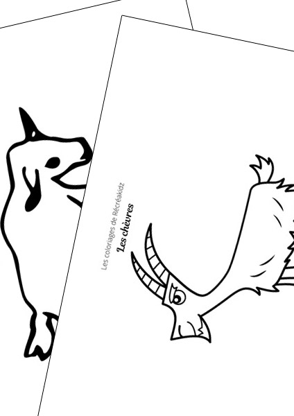Chèvre facile à dessiner maternelle