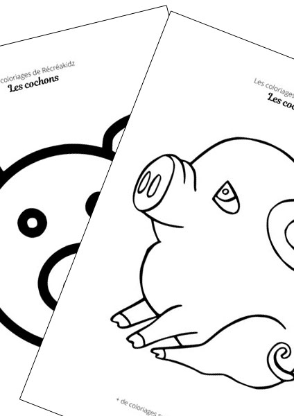 Cochon facile à dessiner maternelle