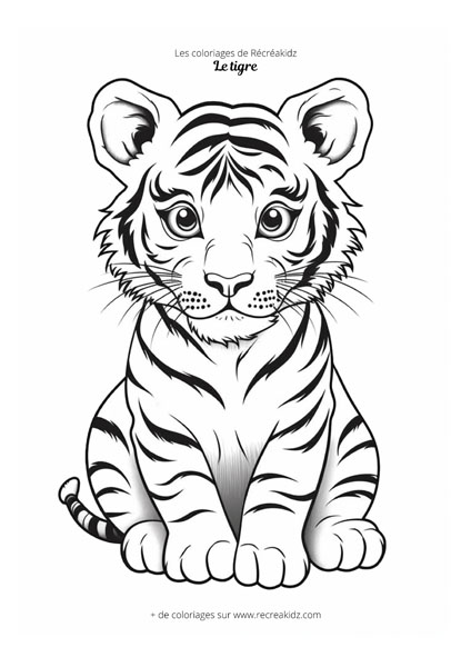 Coloriage bébé tigre
