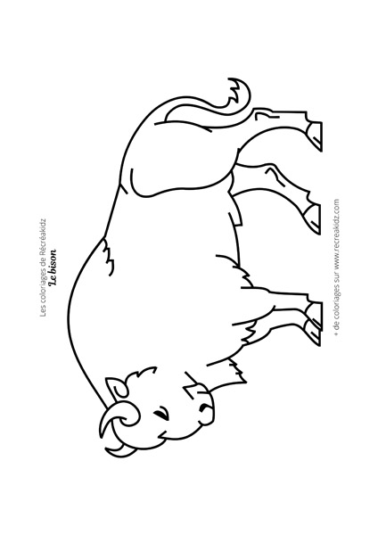 Coloriage bison facile